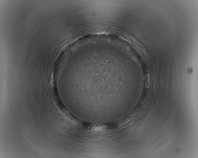 X0000095510560200712141426
