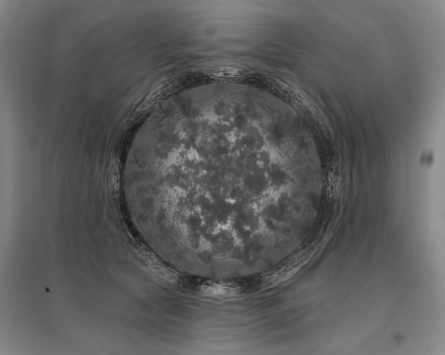 X0000095510561200712141426