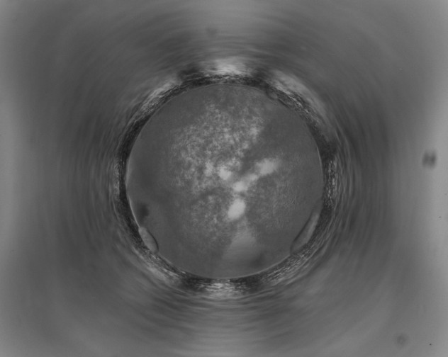 X0000095510562200712141426