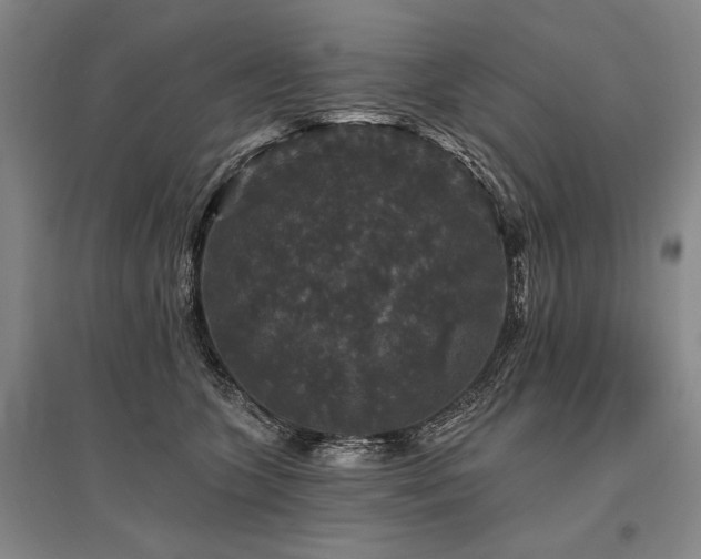X0000095510563200712141426