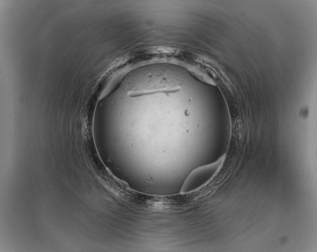 X0000095510564200712141426