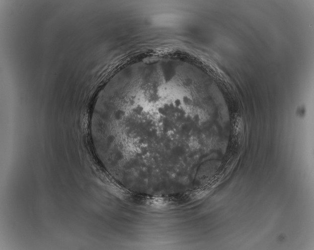 X0000095510565200712141426