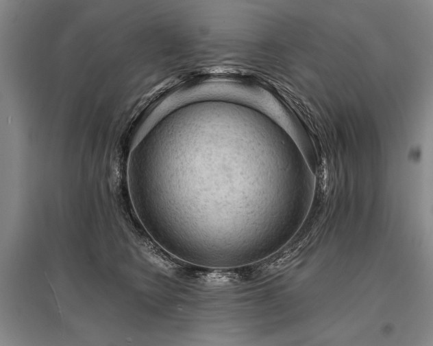 X0000095510566200712141426