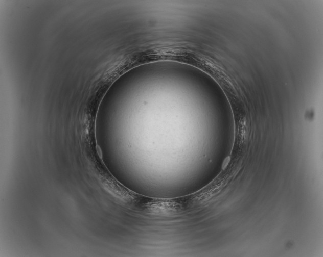 X0000095510567200712141426