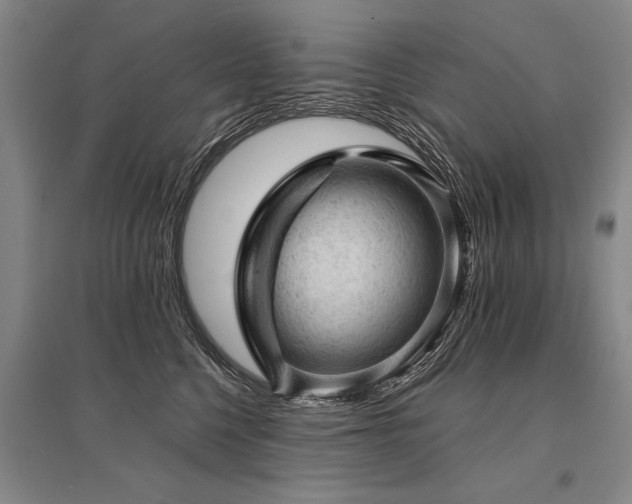X0000095510568200712141426