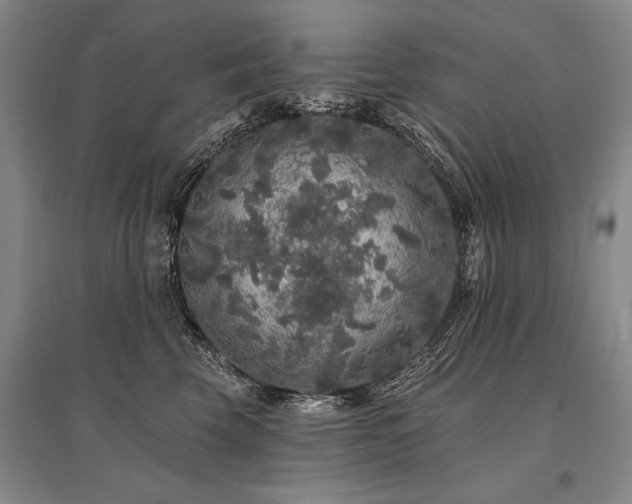 X0000095510569200712141426