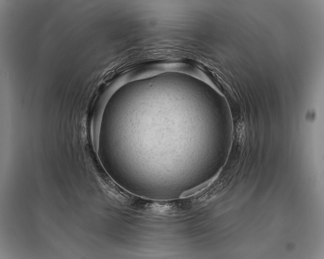 X0000095510570200712141426