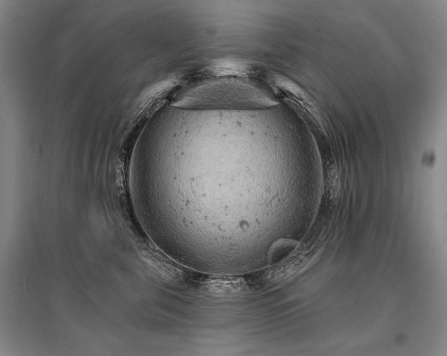 X0000095510571200712141426