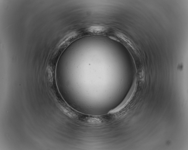 X0000095510572200712141426