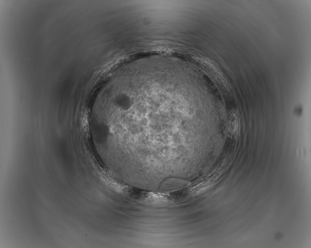 X0000095510573200712141426