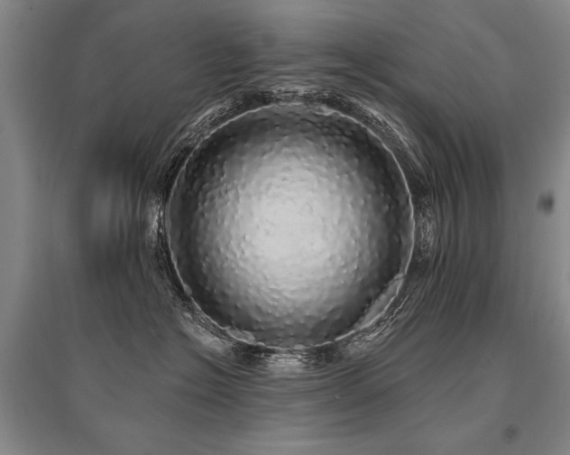 X0000095510574200712141426