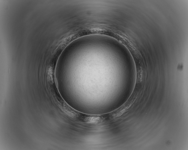 X0000095510575200712141426
