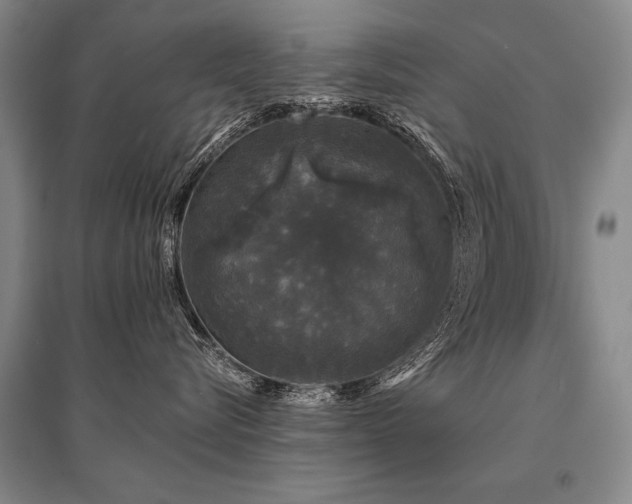 X0000095510576200712141426