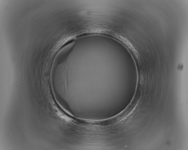 X0000095510577200712141426