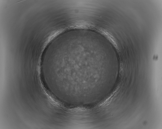 X0000095510578200712141426