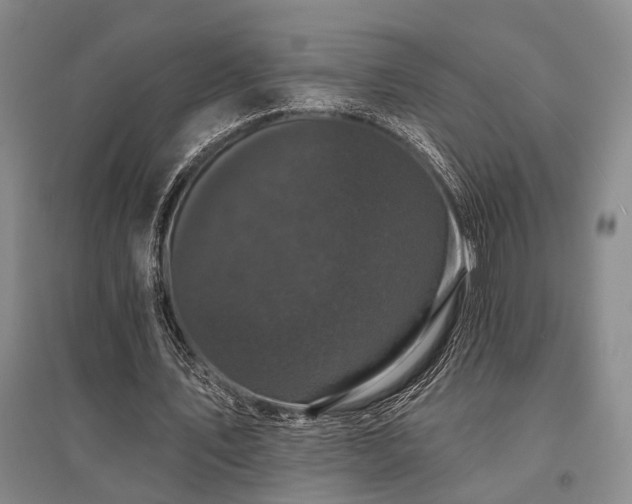 X0000095510579200712141426