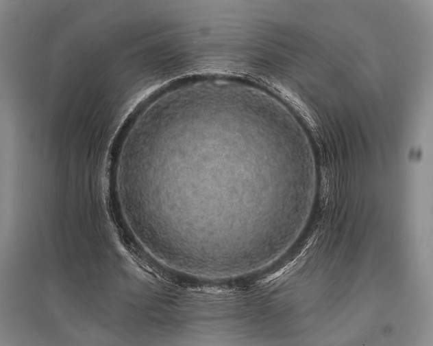 X0000095510580200712141426