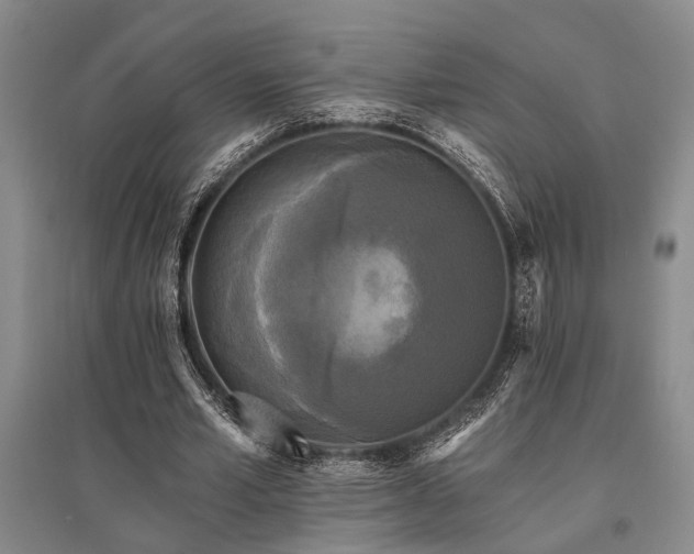 X0000095510581200712141426