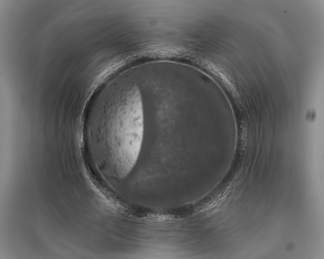X0000095510582200712141426