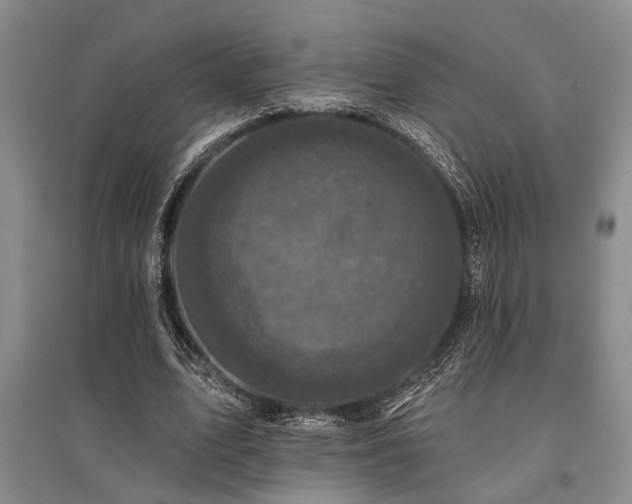 X0000095510583200712141425