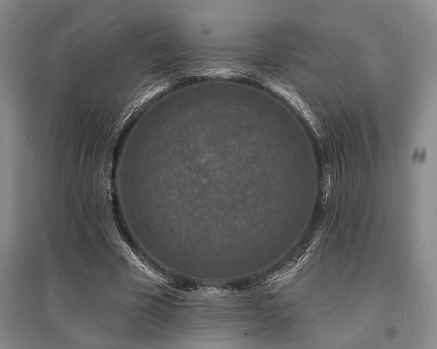 X0000095510585200712141425