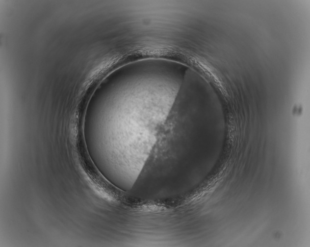X0000095510586200712141425