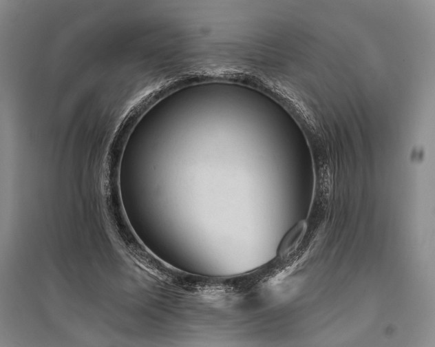X0000095510587200712141425