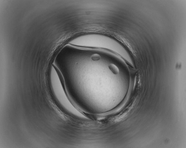 X0000095510589200712141425