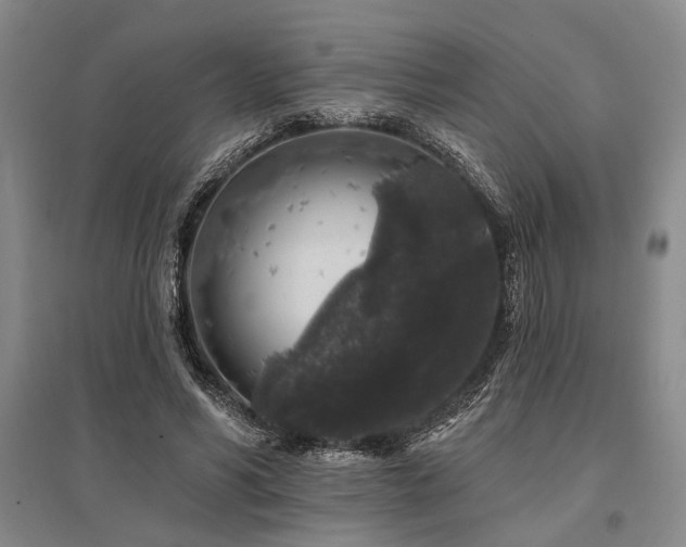 X0000095510590200712141425
