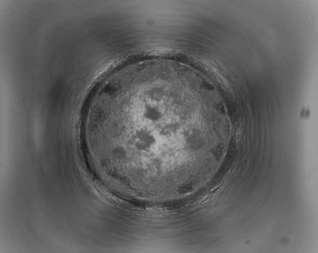 X0000095510591200712141425