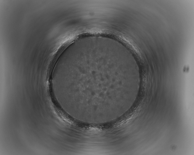 X0000095510592200712141425