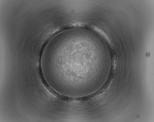 X0000095510593200712141425