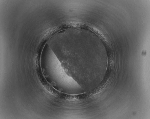 X0000095510594200712141425