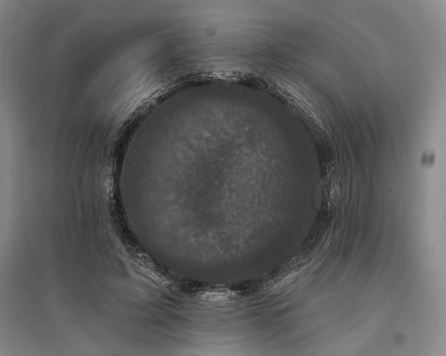 X0000095510595200712141425