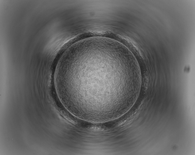 X0000095510596200712141425
