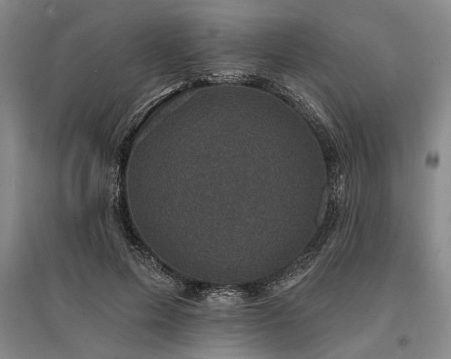 X0000095510599200712141425