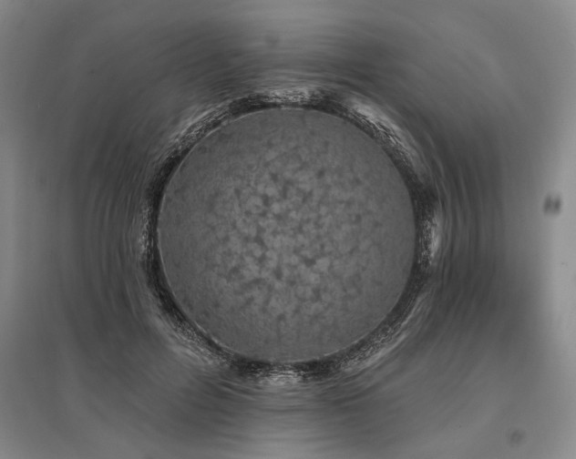 X0000095510600200712141425
