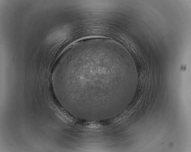 X0000095510601200712141425
