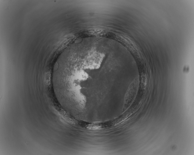 X0000095510602200712141425