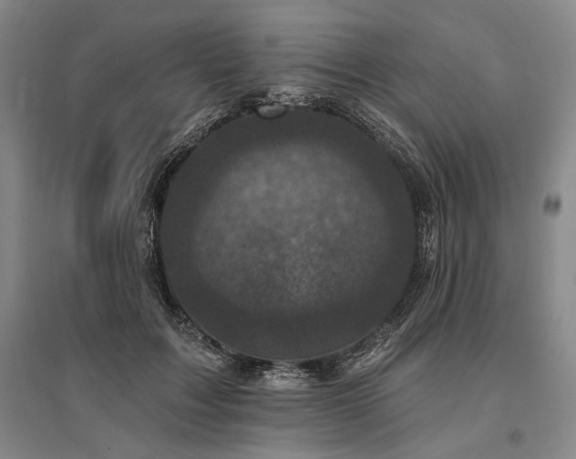 X0000095510603200712141425