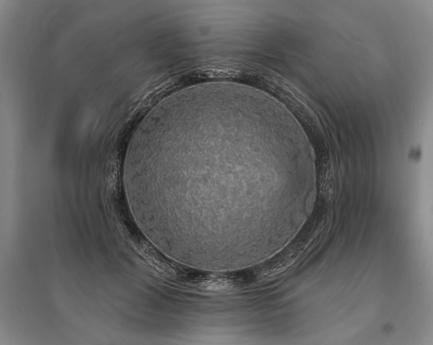 X0000095510604200712141425