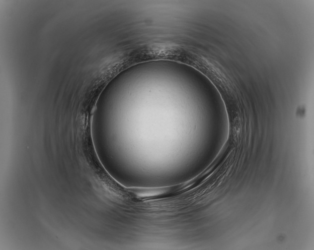 X0000095510605200712141425