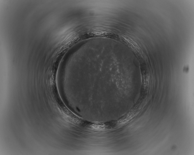X0000095510606200712141425