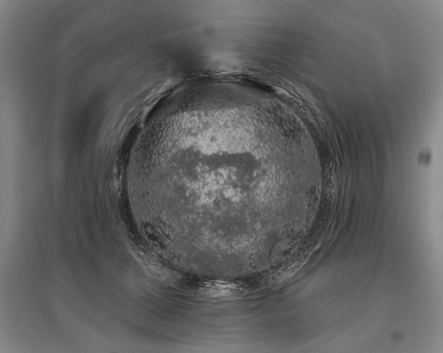 X0000095510607200712141425