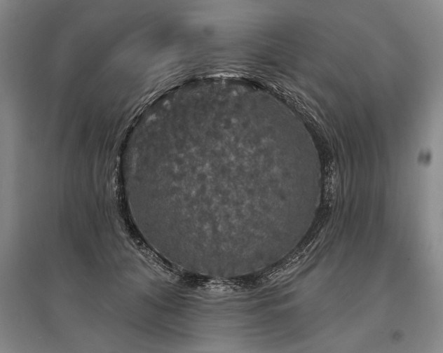 X0000095510608200712141425