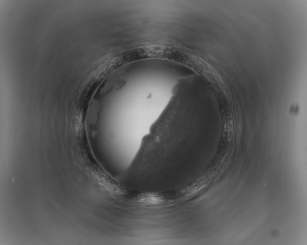 X0000095510610200712141425