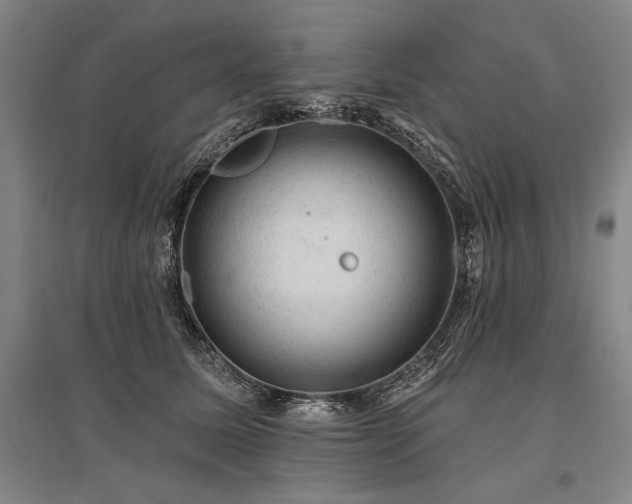 X0000095510611200712141425