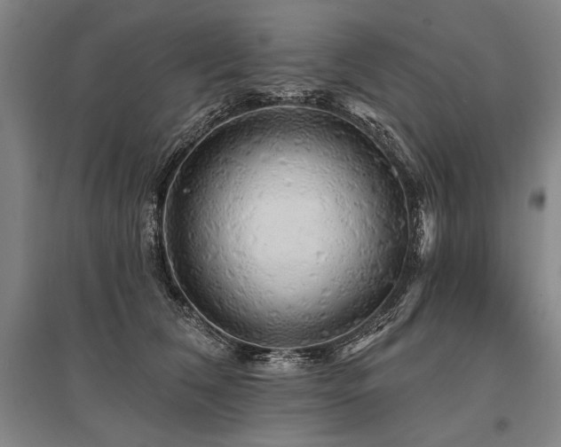 X0000095510612200712141425