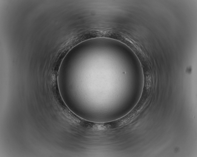 X0000095510613200712141425