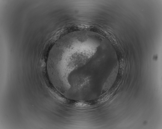 X0000095510614200712141425
